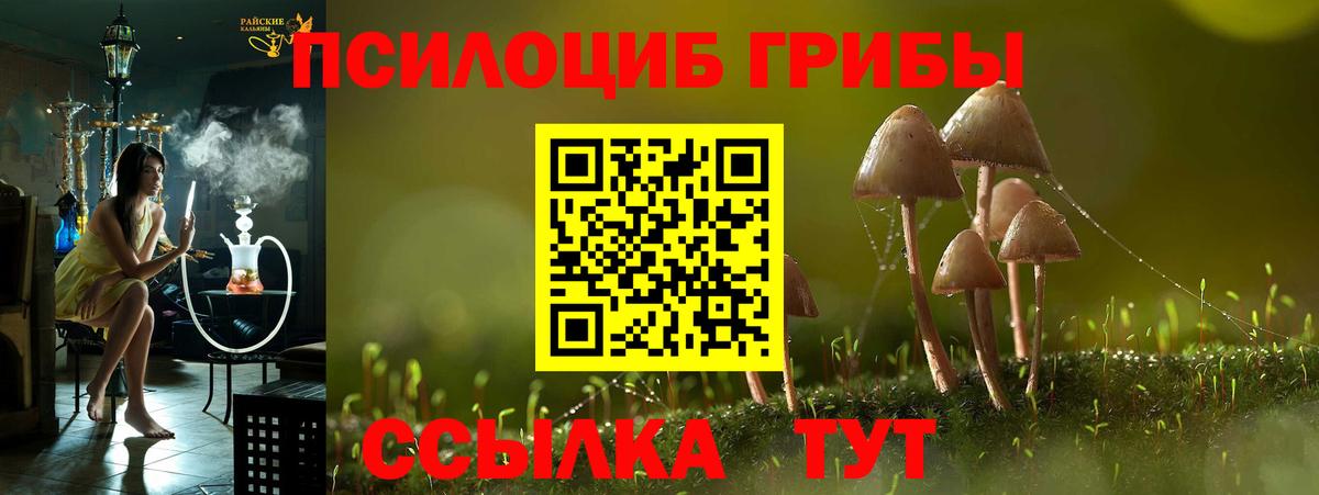 Галлюциногенные грибы GOLDEN TEACHER Солнечногорск