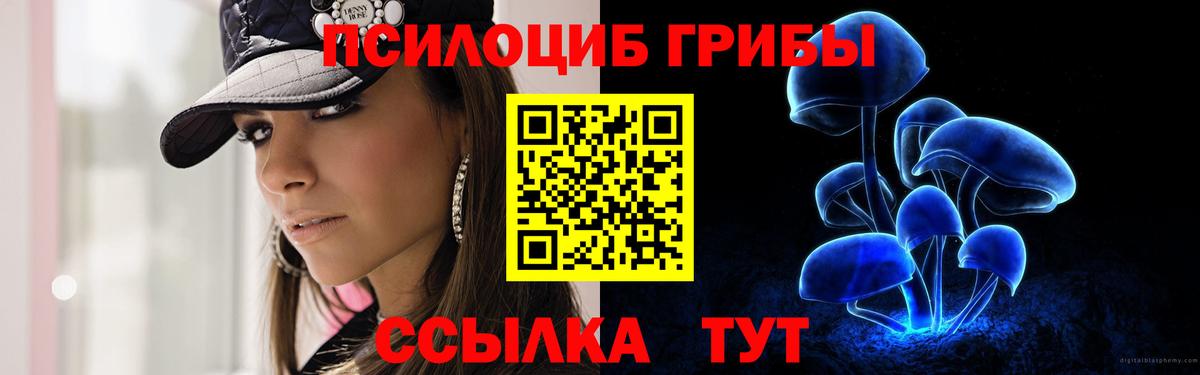 Галлюциногенные грибы Cubensis  Вход с VPN  Солнечногорск 